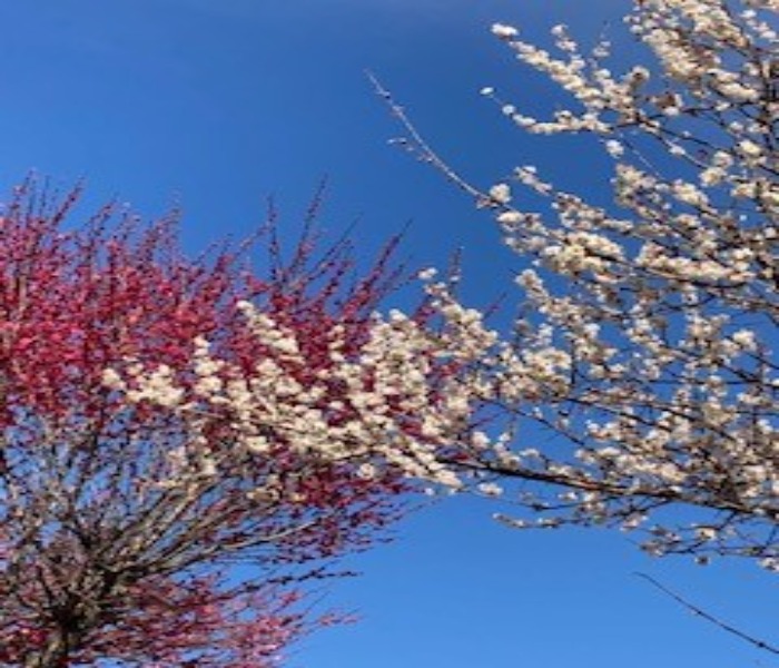【成田】