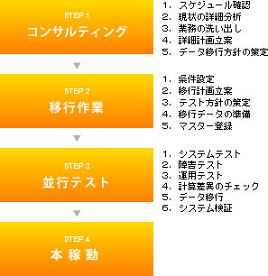 導入フロー