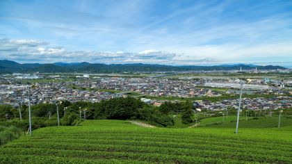 島田・牧之原エリアで働く