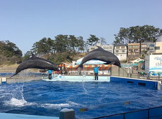 【金沢】ソフト開発会社で働く今月のキラリさん。家族で水族館！そしてイルカショー★　2018-Vol.12