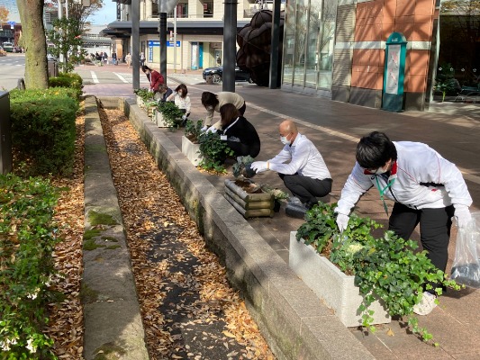 金沢駅前通り 花の植え替えしてきました 派遣の仕事 人材派遣サービスはパソナ 金沢駅前通り 花の植え替えしてきました 派遣の仕事 人材派遣サービスはパソナ