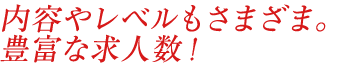 内容やレベルもさまざま。豊富な求人数!