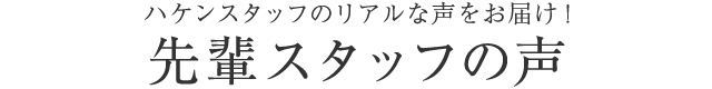 ハケンスタッフのリアルな声をお届け!先輩スタッフの声