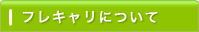 フレキャリについて